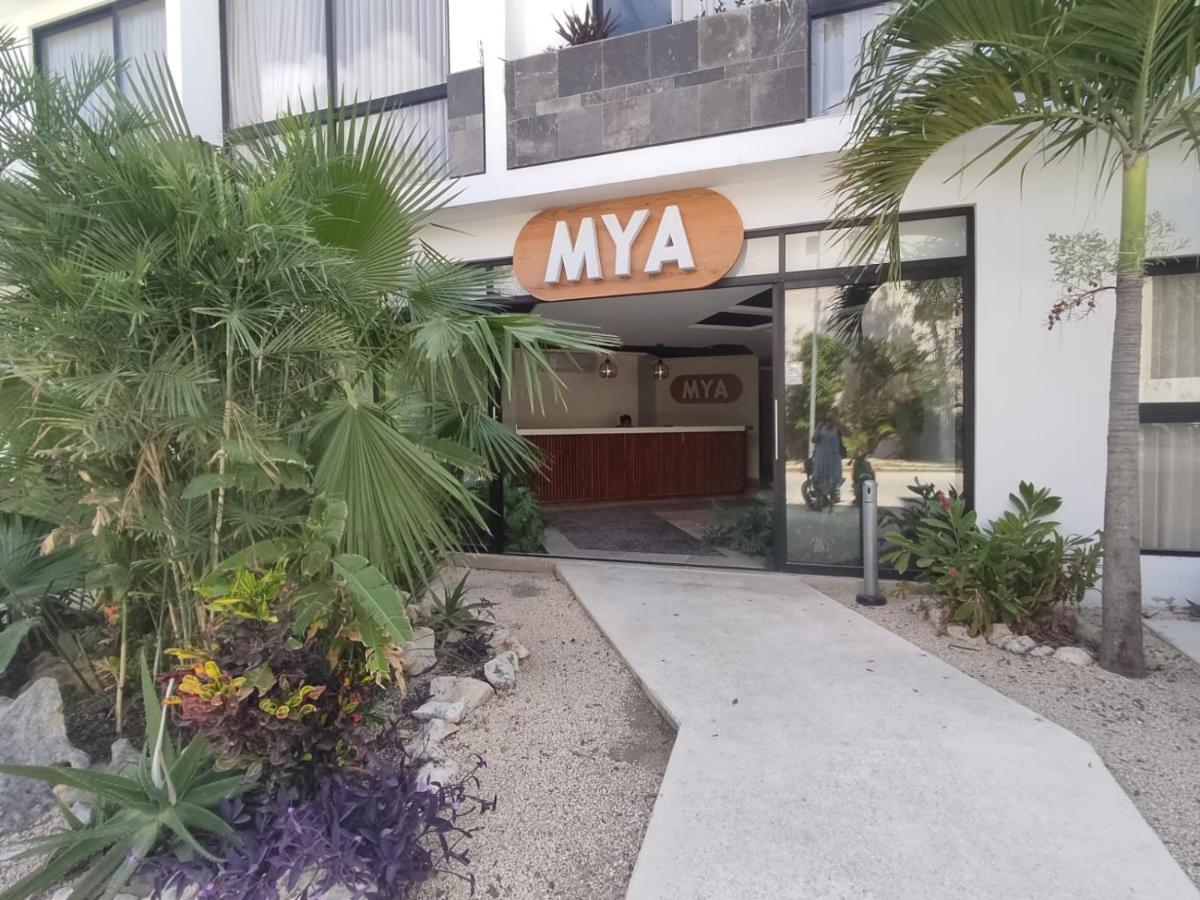 Nuevo Estudio Con Terraza Totalmente Equipado Tulum Aldea Zama Εξωτερικό φωτογραφία